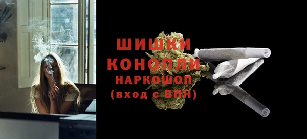 молекула духа Надым