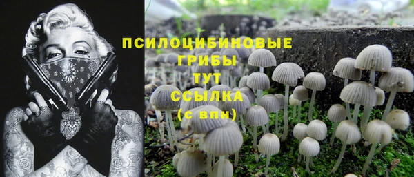 тгк Алексеевка