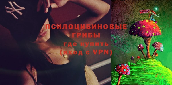 молекула духа Надым