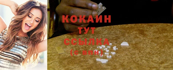 молекула духа Надым